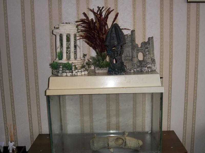 I HAVE FOR SALE A COMPLET TROPICAL FISH SET UP