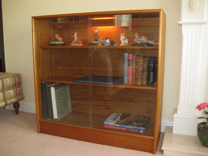 Illuminated bookcase