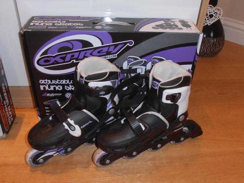 In line blades  skates