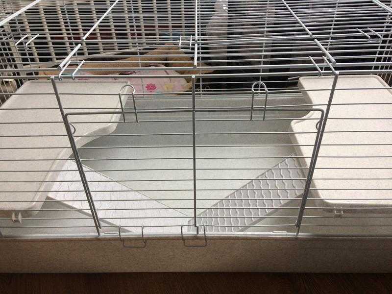Indoor rabbithedgehog cage