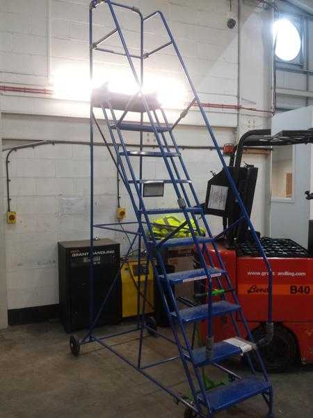 Industrial Warehouse Ladder - 300Kg Capacity