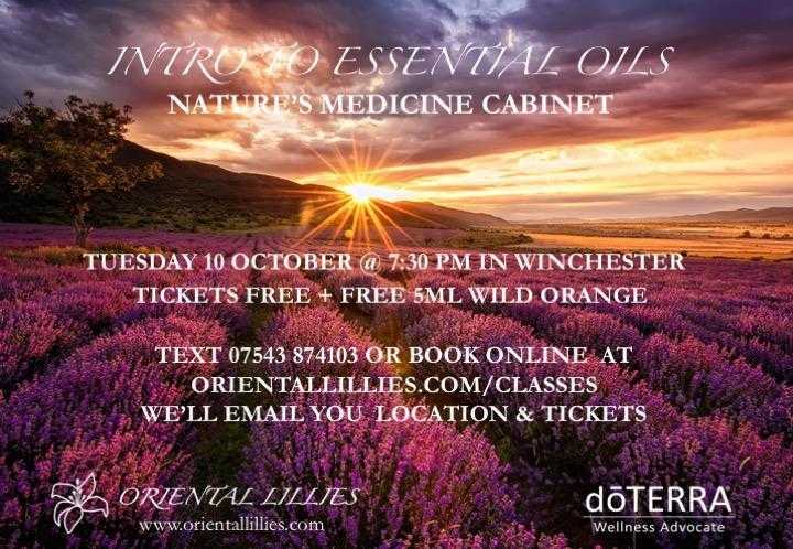 Intro to essential oils - Nature039s medicine cabinet - in Winchester