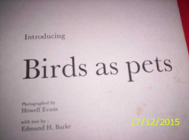 Introducing Birds As Pets by Paul Hamlyn