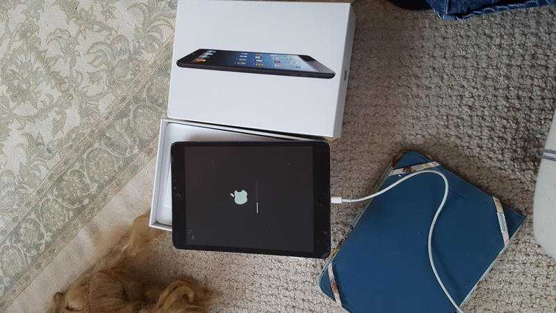 Ipad 2 mini 16gb boxed