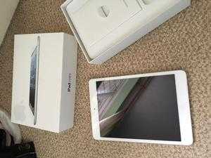 iPad Mini with WiFi  3G