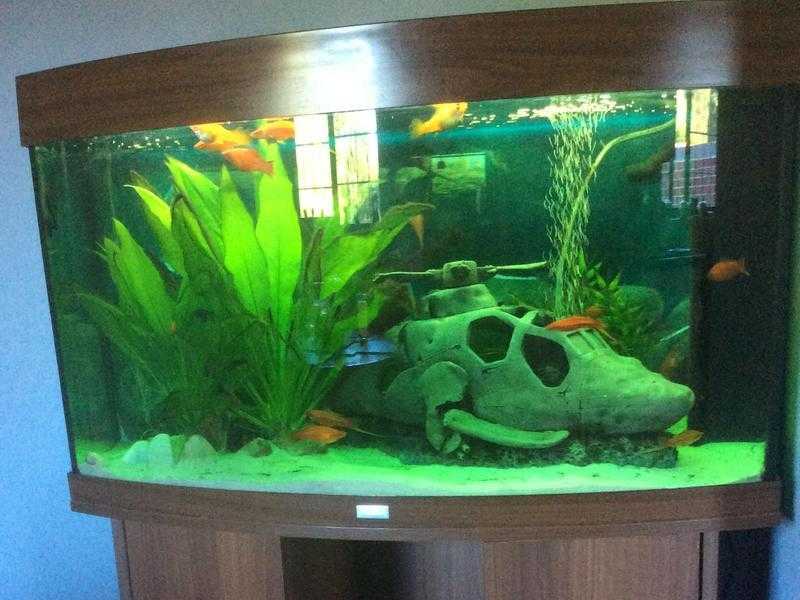 Jewel 180 litre Fish Tank and Mahogany Cabinet