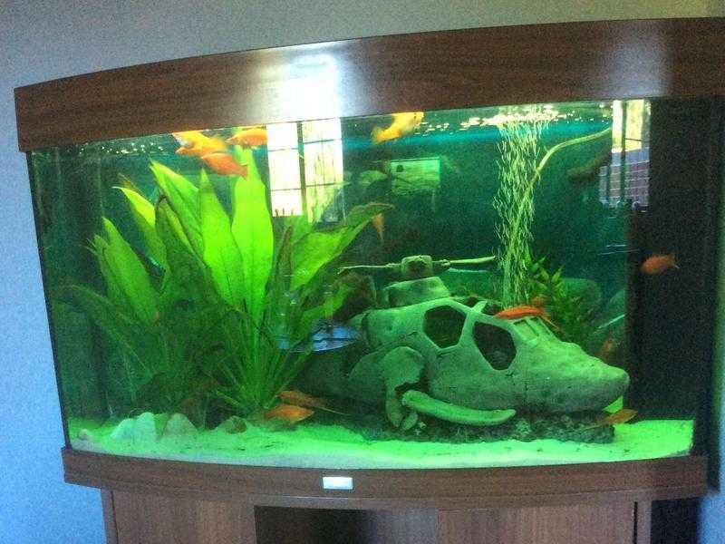 Jewel 180 litre Mahogany Fish Tank