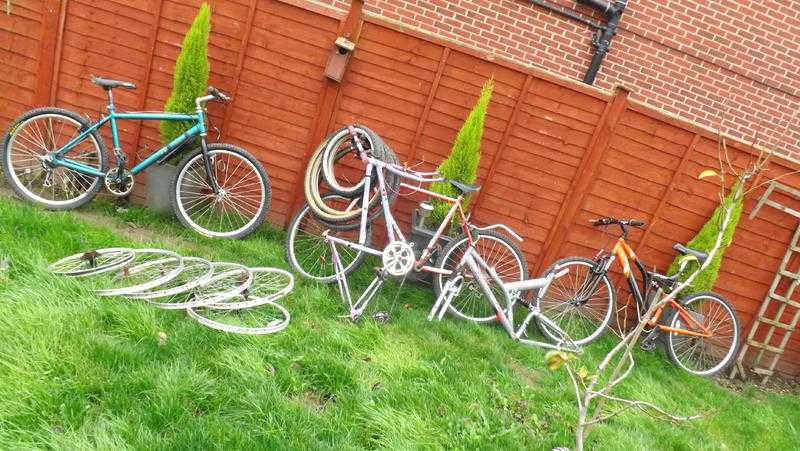 JOBLOT-BICYCLES--PARTS