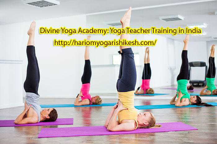 Join Divine Yoga Teacher Training Acedemy in India