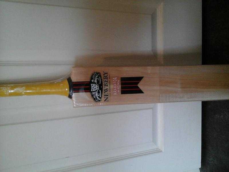 Junior cricket bat