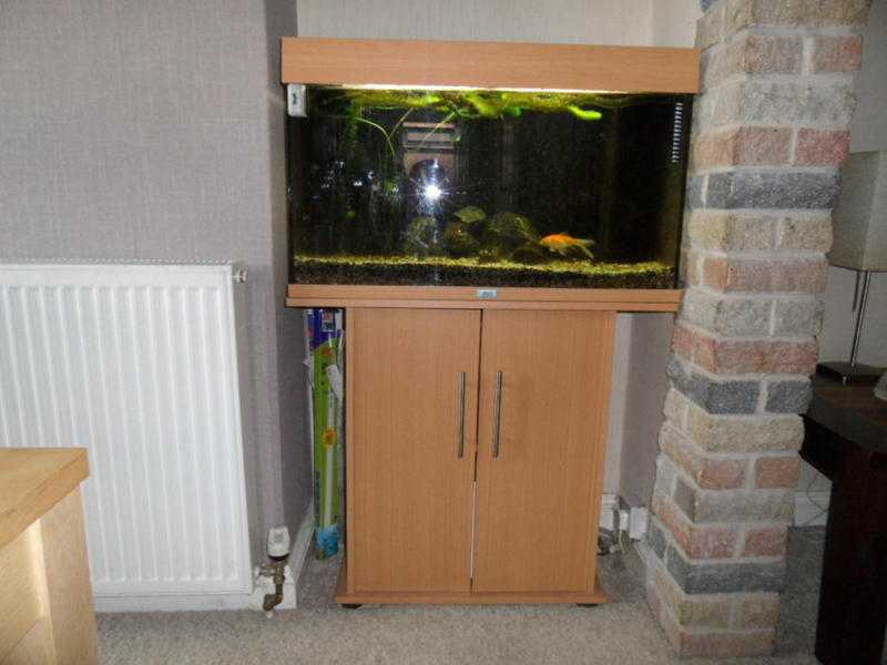 Juwel Rio 125 Aquarium and Stand