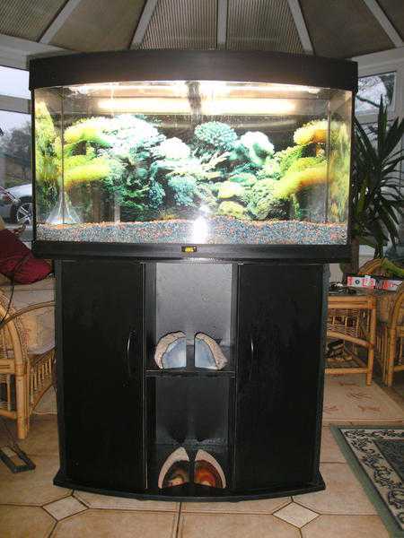 Juwel tropical aquariumamp cabinet.