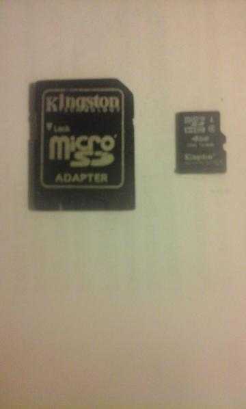 kingston micra adaptor and mini micra card