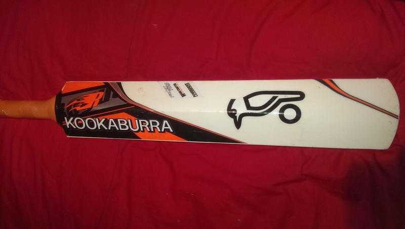 Kookaburra cricket bat brand new