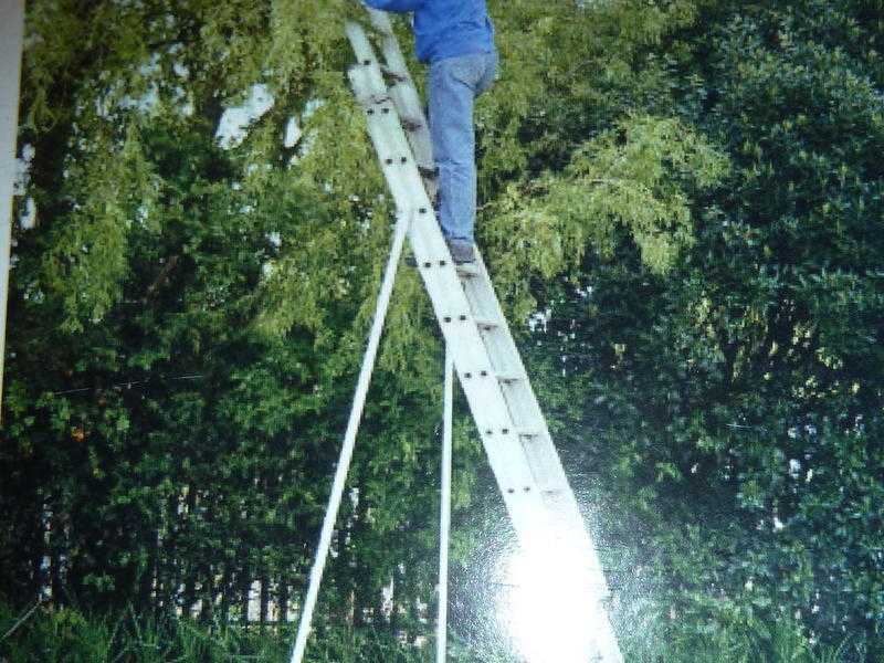 ladder, ladder step and ladder support