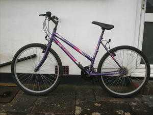 Ladies 26quot Bicycle