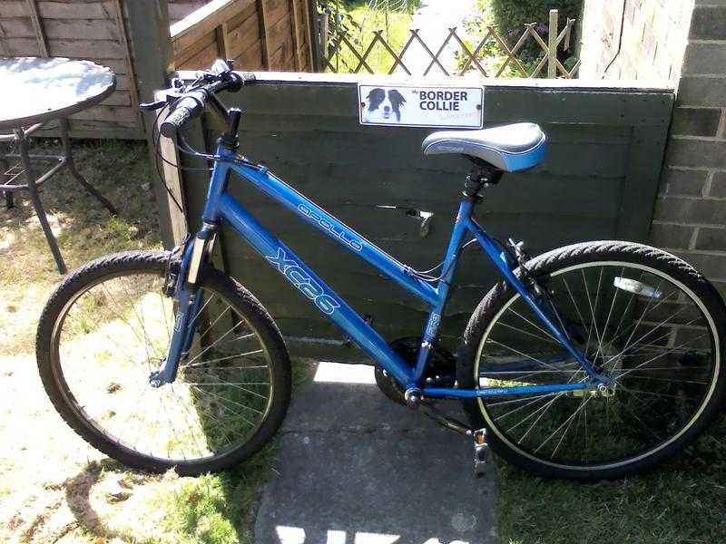 Ladies Apollo XC26 Mountain Bike