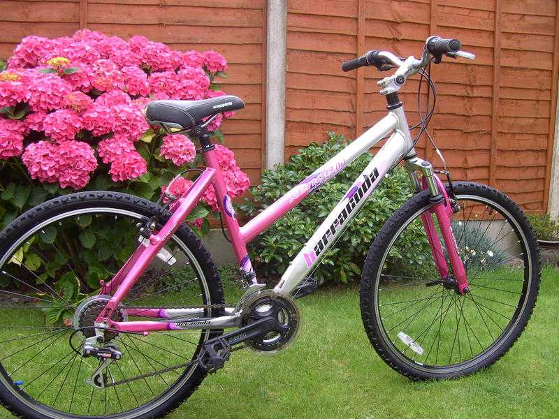 Ladies Bike