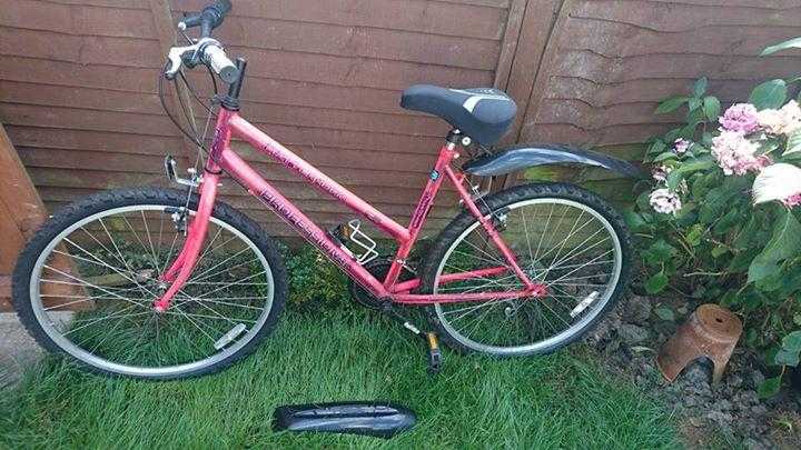 Ladies Bike