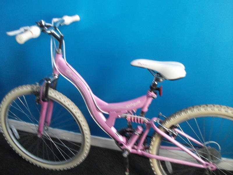 ladies bike