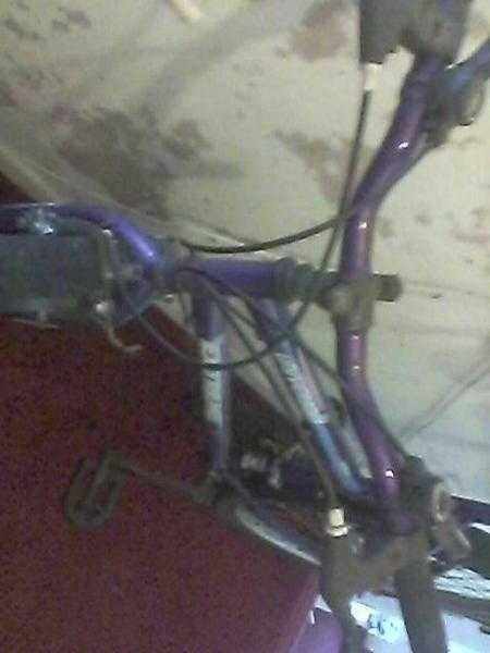 ladies bike that needs work