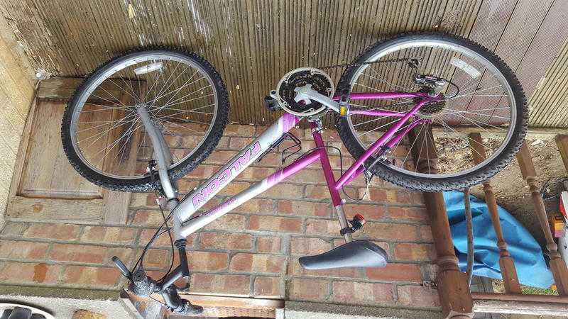 Ladies Falcon mountain bike