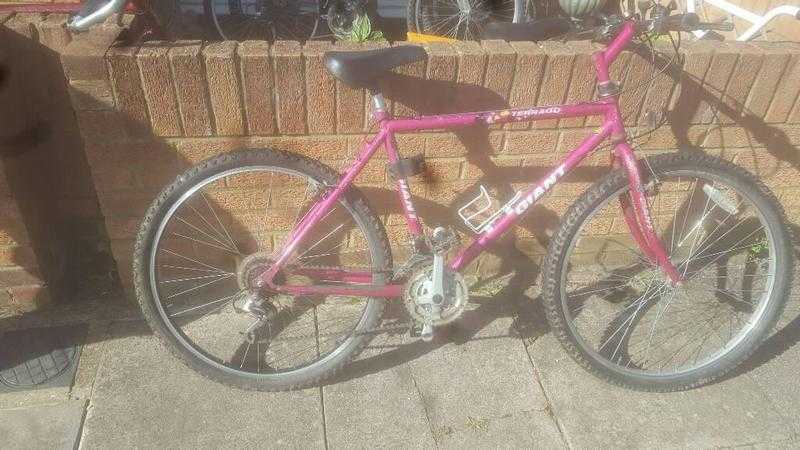 Ladies mountain bike