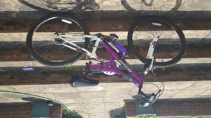 Ladies mountain bike - Perfect condition