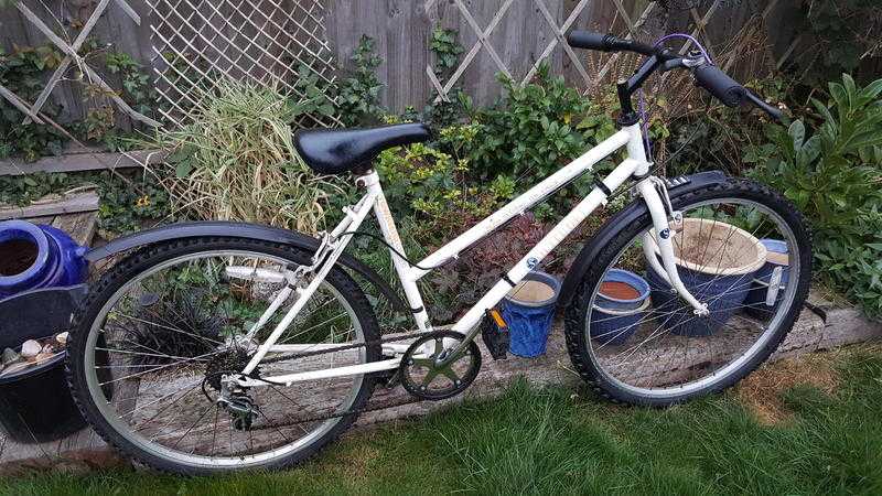 Ladies White Townsend bike with mudguards