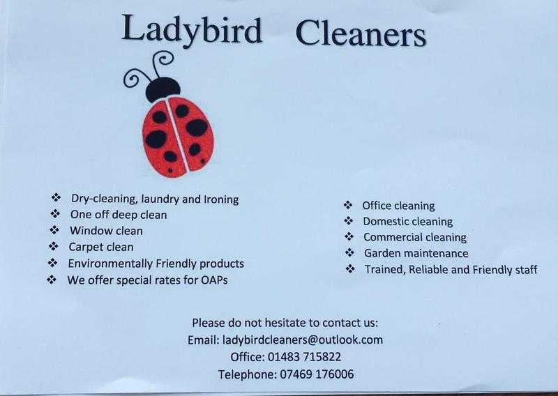 Ladybird cleaners services