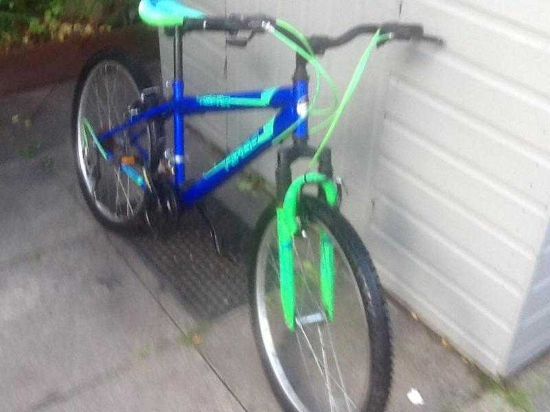 Ladys bike