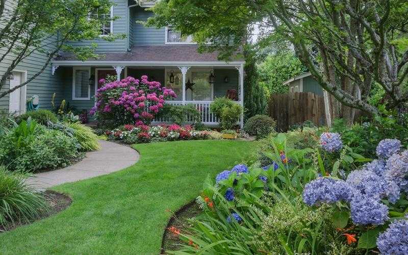 landscaping services and garden maintenance