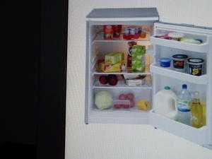 Larder Fridge