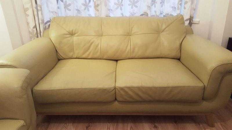 Large 2 seat leather sofa