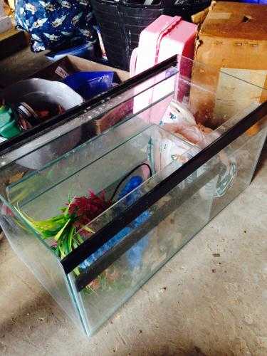 Large and small fish tank