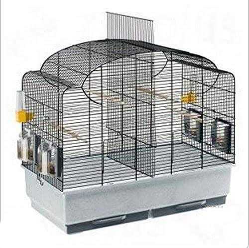 large Birds cage