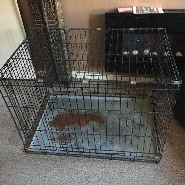 Large dog cage