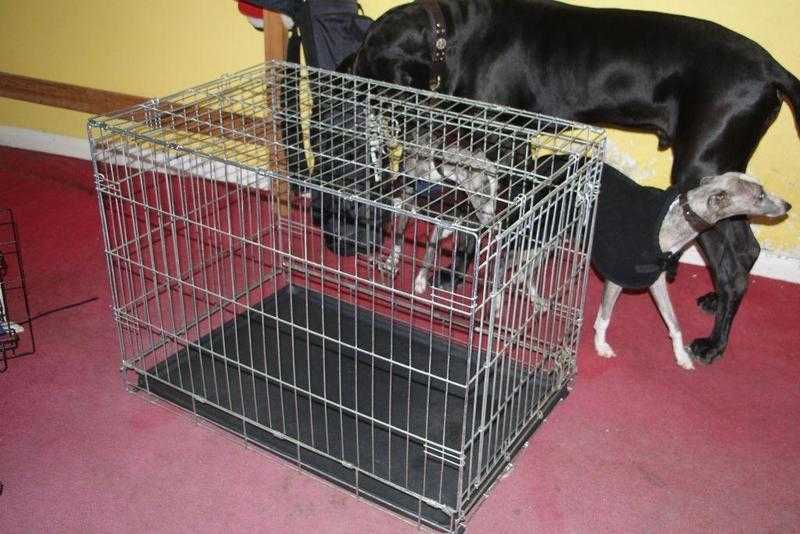 Large Dog Crate