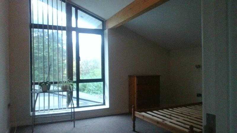 large double bedroom, lounge kitchen and bathroom 800 pcm, bill included