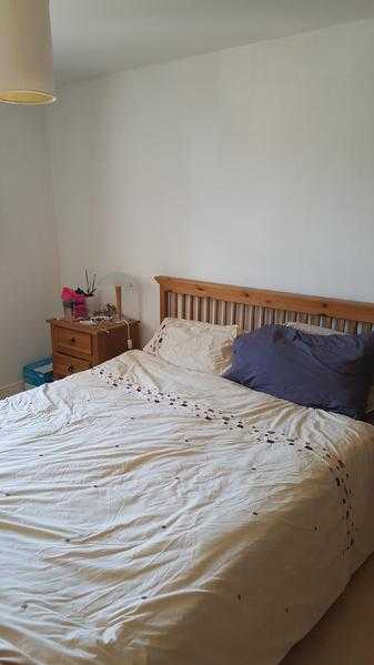 Large double room to rent in Ipswich near city center