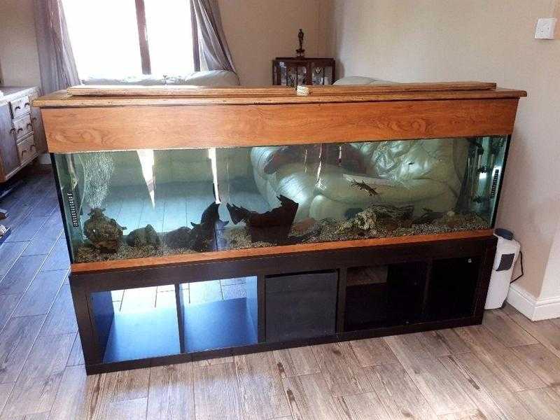 Large fish tank and unit