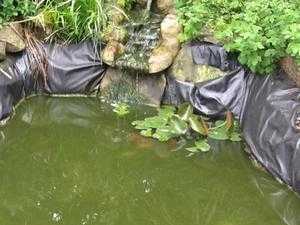 large garden pond and filter for sale