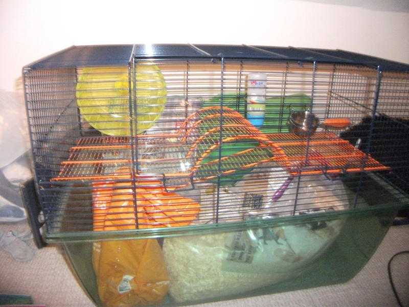 Large Gerbil Cage