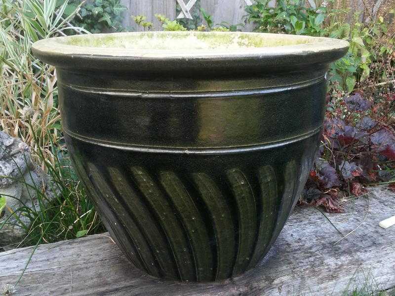 Large Green plant pot