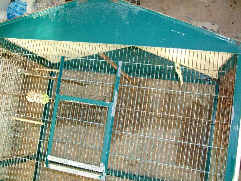 LARGE PARROT CAGE