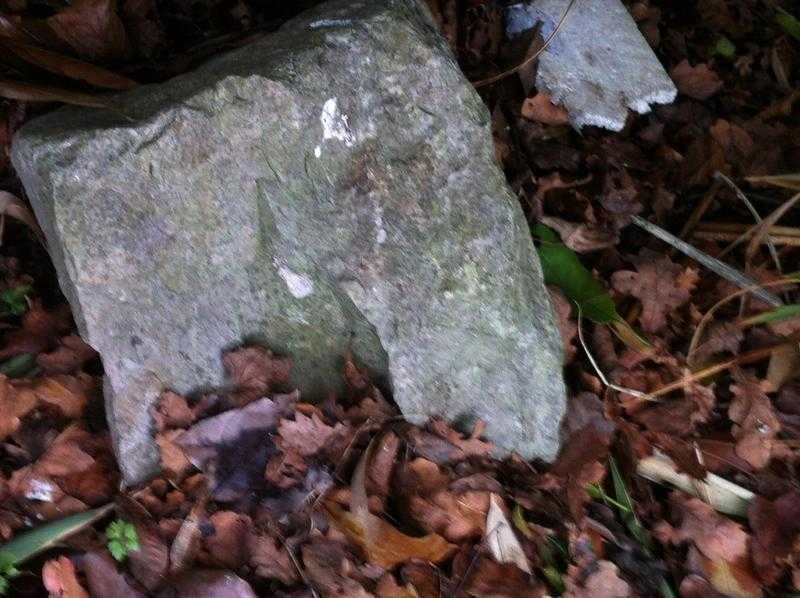 Large pieces of ornamental Rockery Stone Used