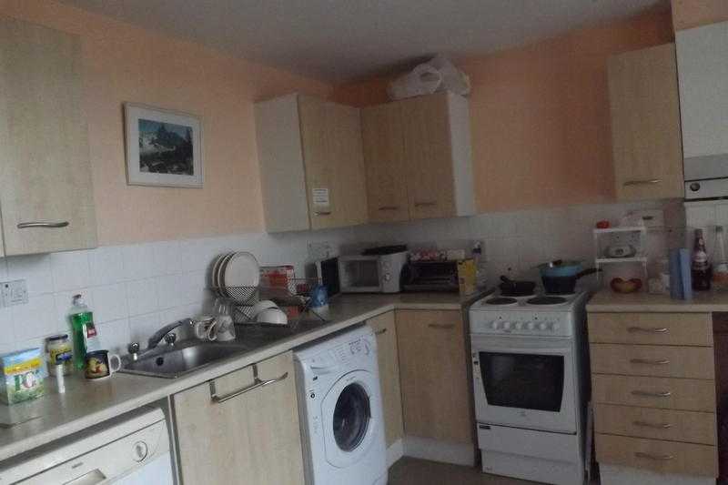 large room in Basingstoke plus sharing of flat