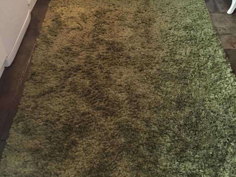 Large rug