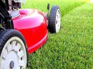 Lawn cutting and general garden tlc