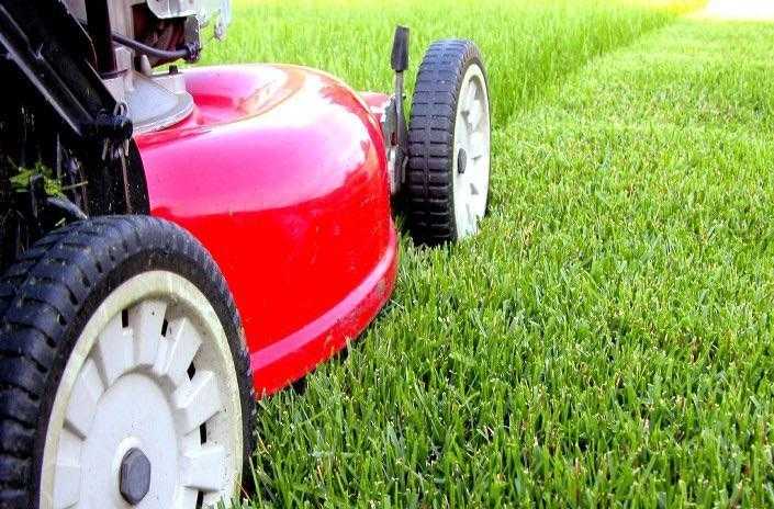 Lawn cutting and maintenance service